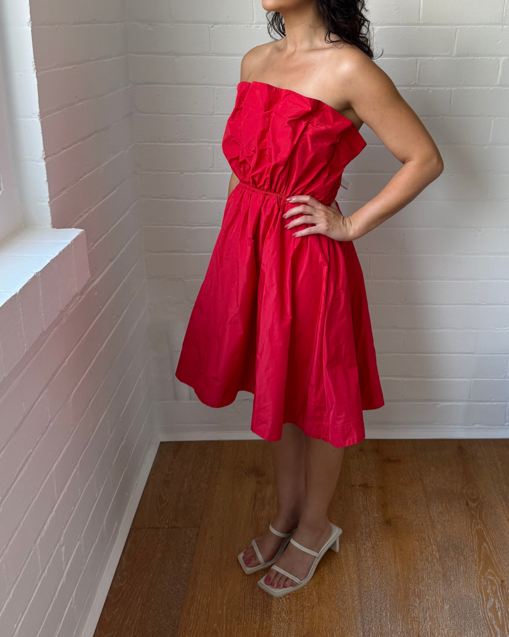 Anthropologie Ruffled Taffeta Mini Dress - Large