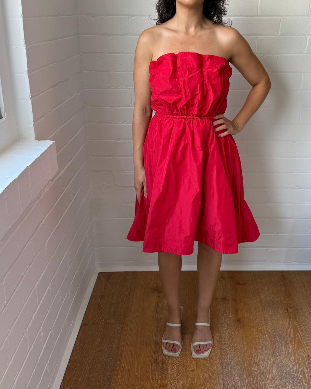 Anthropologie Ruffled Taffeta Mini Dress - Large