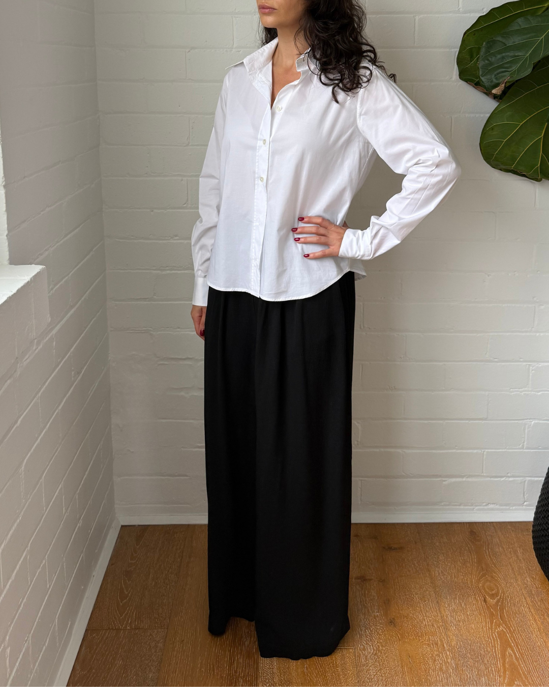 Scanlan Theodore Slim Stretch Shirt - Size 6