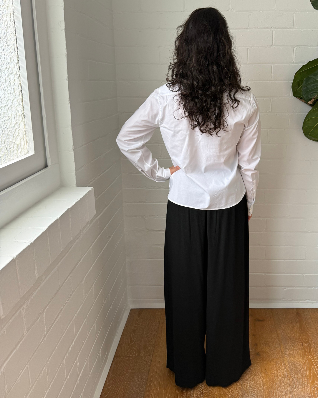 Scanlan Theodore Slim Stretch Shirt - Size 6