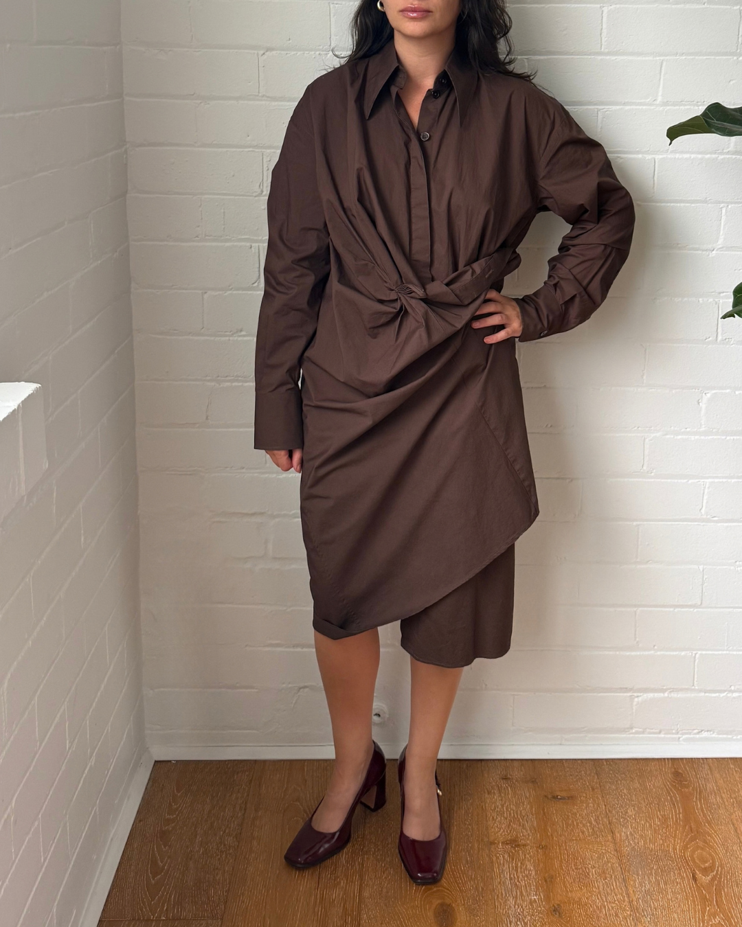 Scanlan Theodore Brown Shirt Dress - Size 6