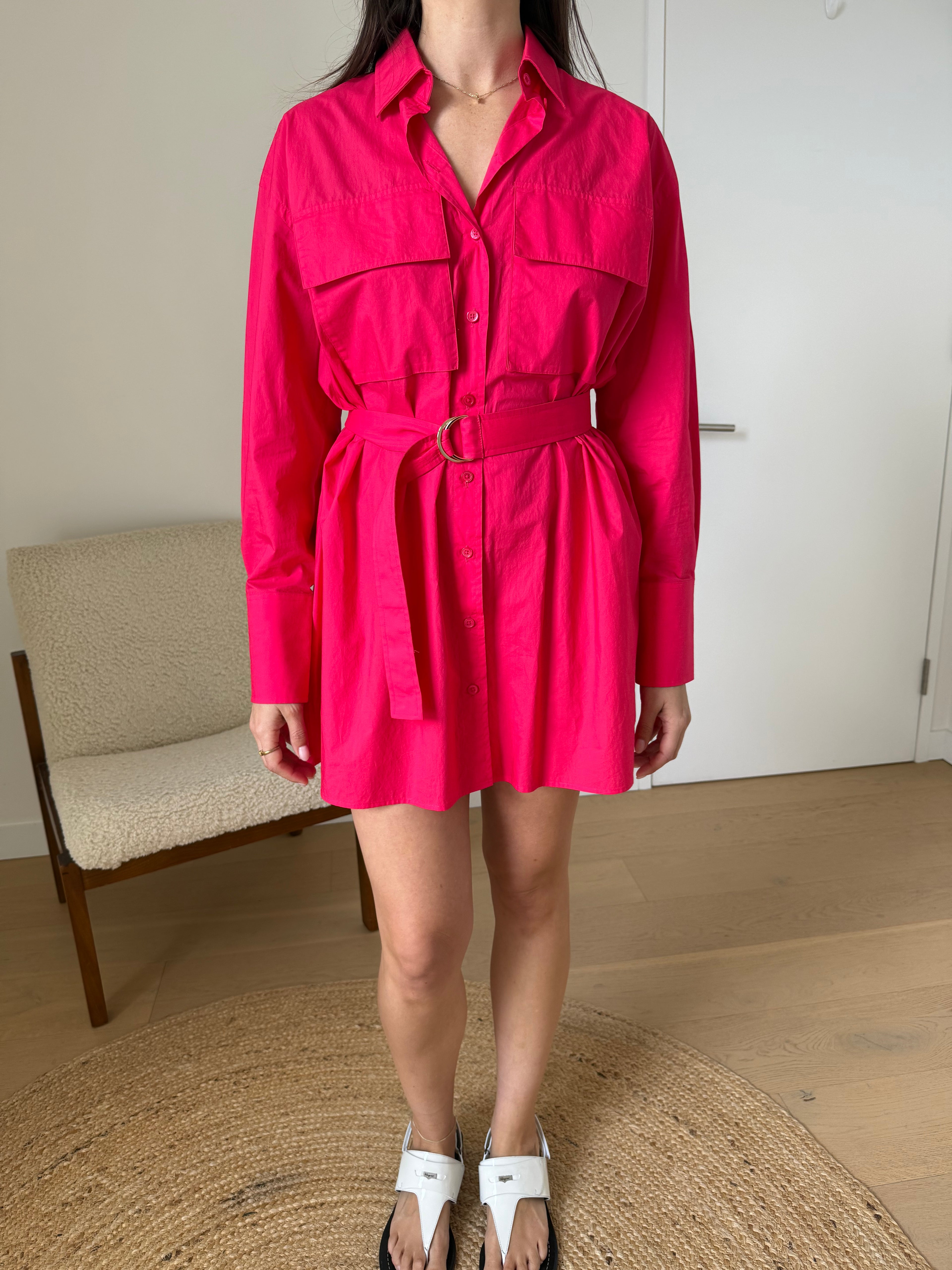 Scanlan Theodore Pink Shirt Dress - Size 6