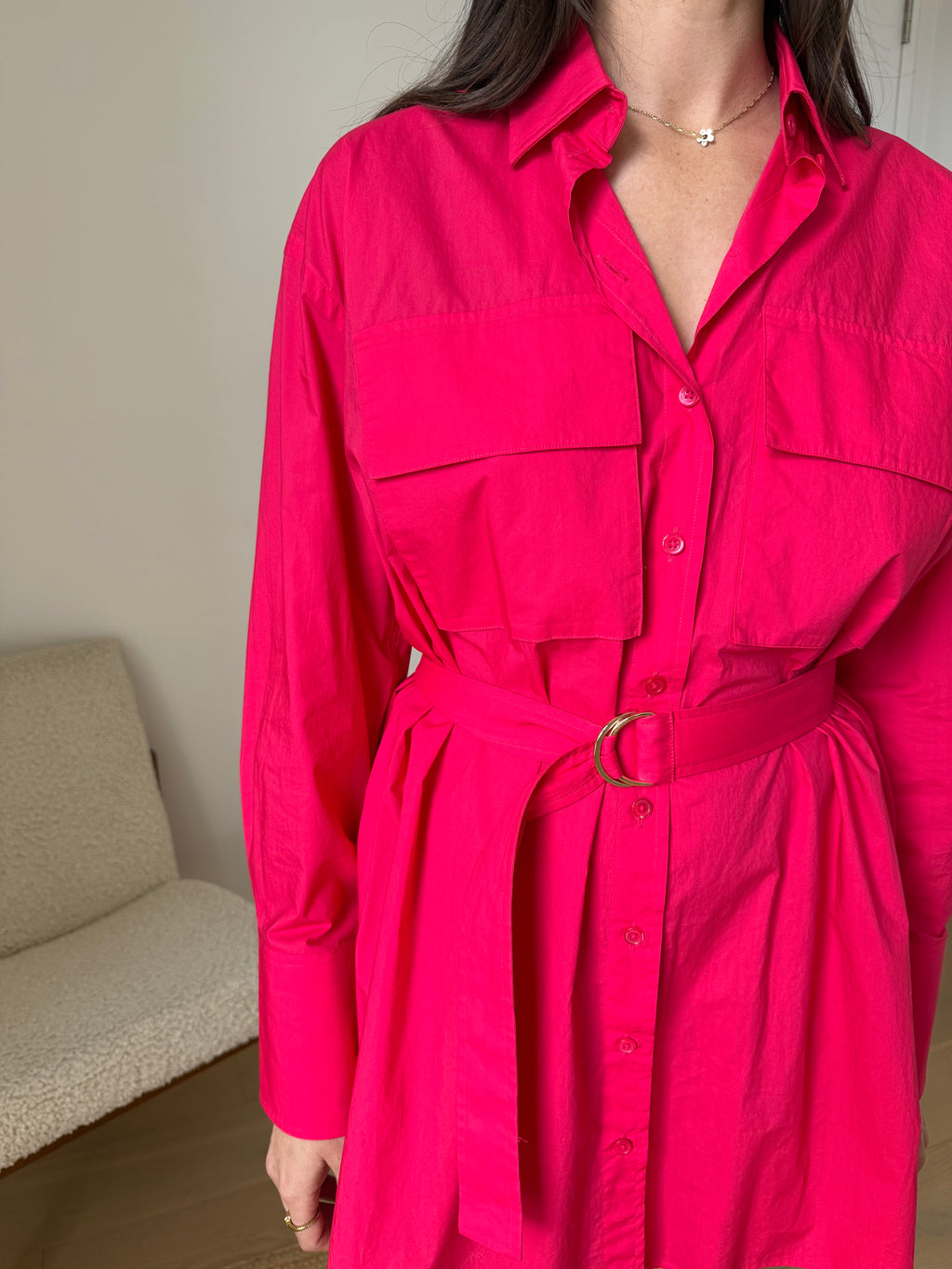Scanlan Theodore Pink Shirt Dress - Size 6