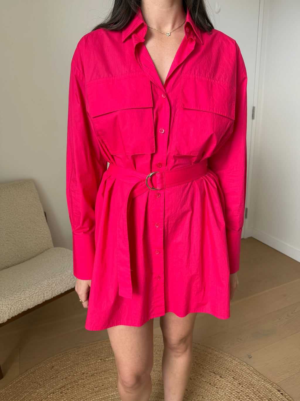 Scanlan Theodore Pink Shirt Dress - Size 6